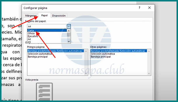 tamano-papel-normas-apa-word Selección del tamaño del papel en word según las normas apa